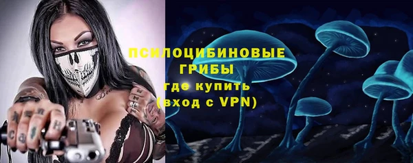 твердый Арсеньев