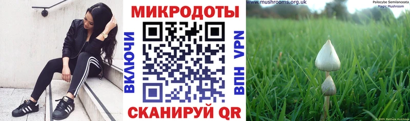 Псилоцибиновые грибы прущие грибы  продажа наркотиков  Колпашево 