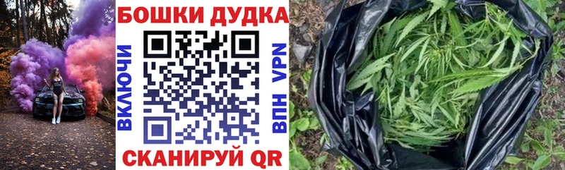OMG сайт  Колпашево  Шишки марихуана Amnesia 